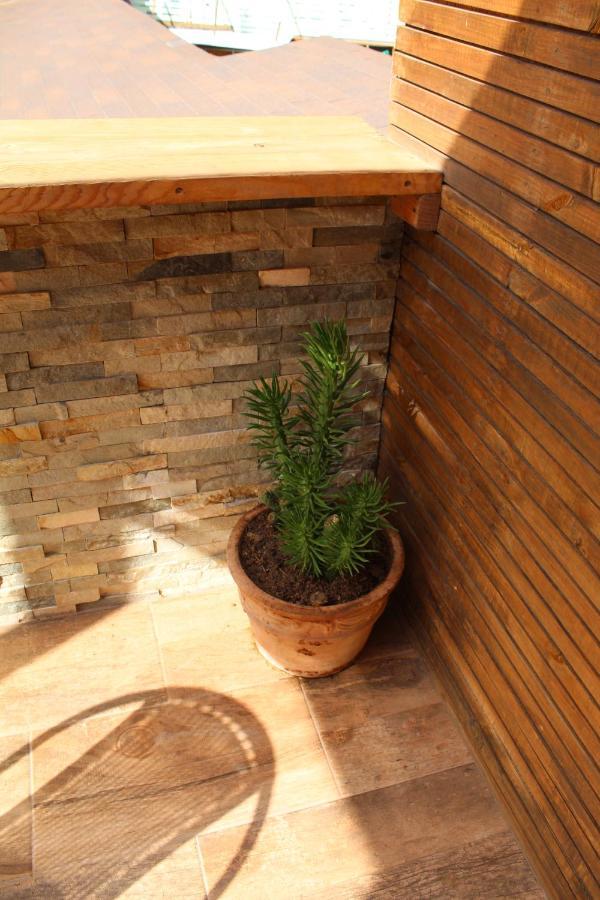 Vicuna Lodge San Pedro de Atacama Ngoại thất bức ảnh